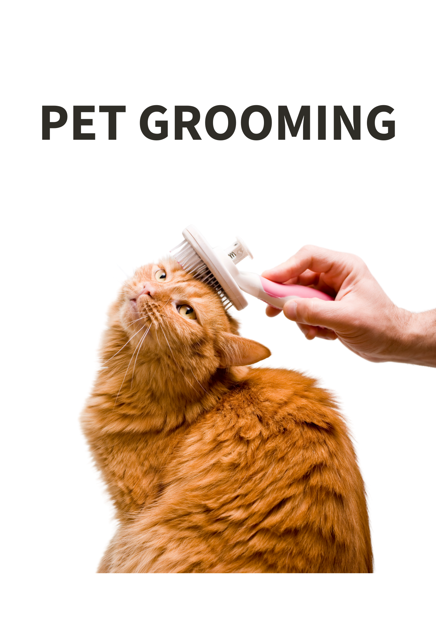 Pet Grooming
