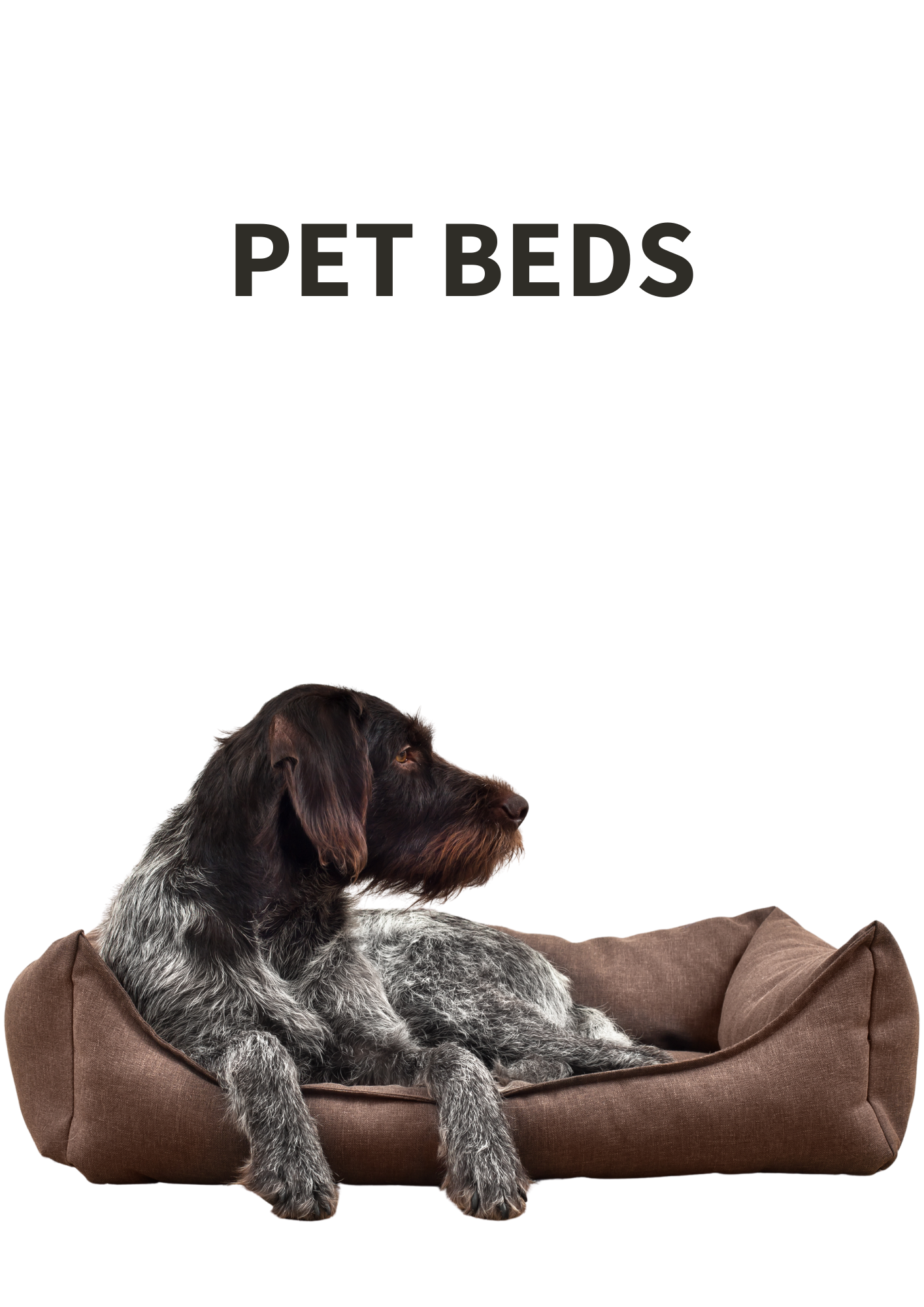 Pet Bed