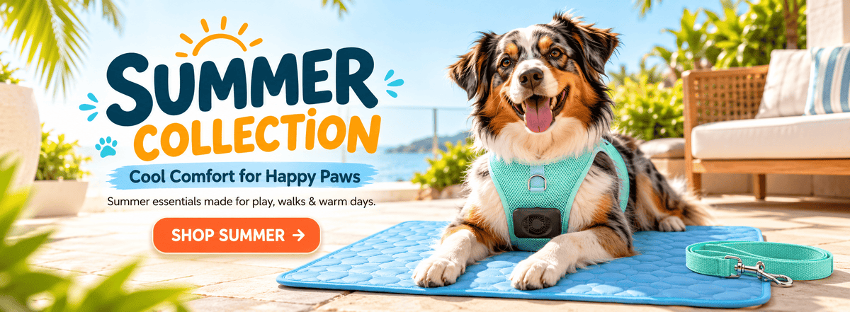 Summer Collections