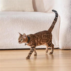 TheAussiePaw Pet Cat Toy Laser Collar