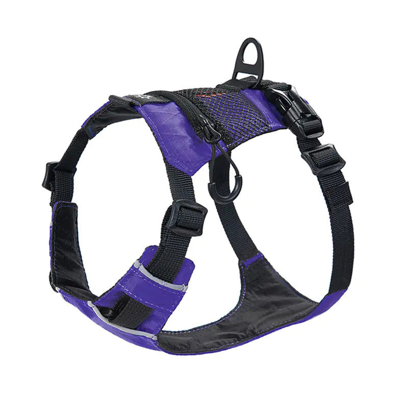 Hi-Vis No-Pull Dog Safety Vest