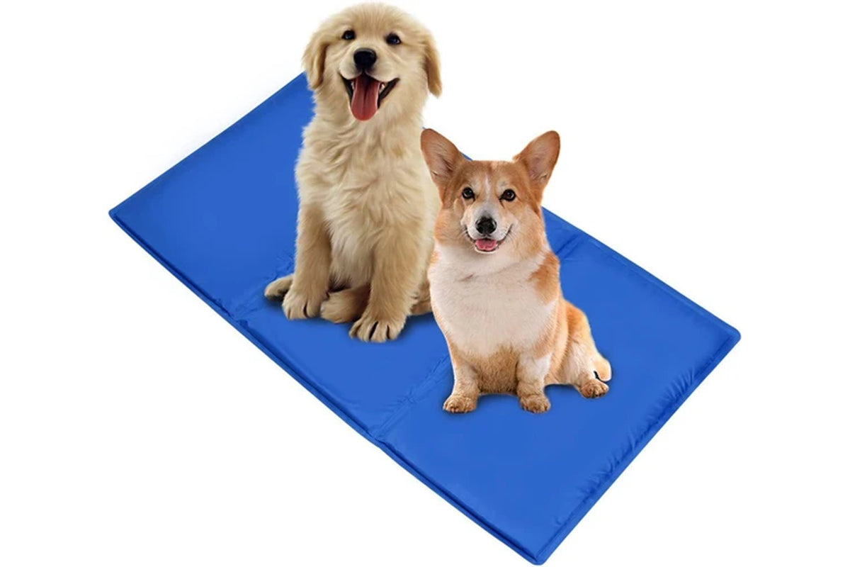 COSTCOM Large Size Dog Cooling Mat Instant Relief Non Toxic 60Cm X 90Cm