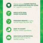 Greenies Dental Dog Treats