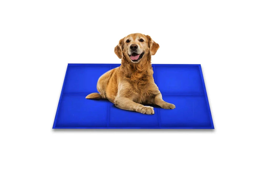COSTCOM Large Size Dog Cooling Mat Instant Relief Non Toxic 60Cm X 90Cm