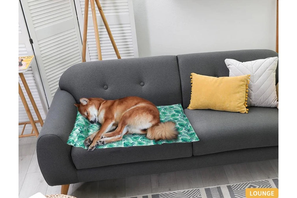 Pet Bed Cooling Mat Dog Bed Small Green