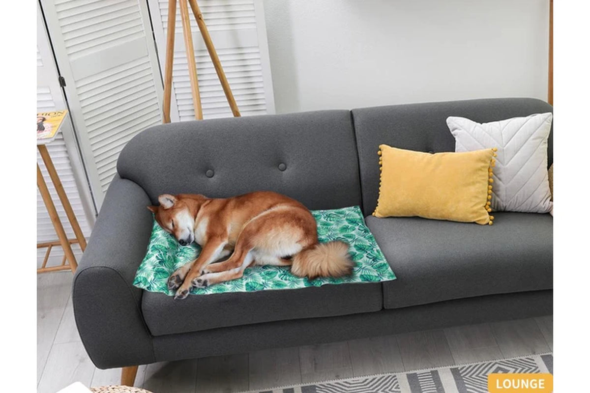 Pet Bed Cooling Mat Dog Bed Small Green