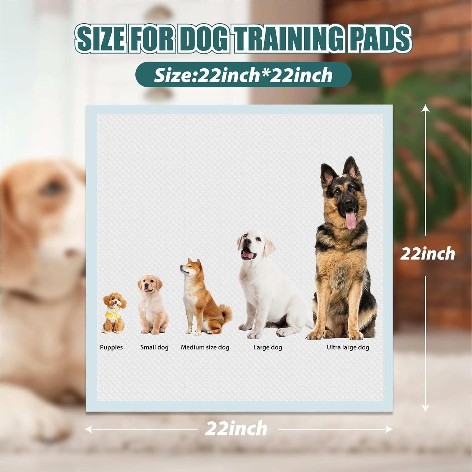 GWT Puppy Pads for Dog, Leak-Proof Changing Pad, 22"X22" [50 Pads] Pee Pads for Dogs, Ultra Absorbent 5-Layer Dog Pads for Potty Cat Training, Dog Pee Pads, Puppy Pads for All Pets