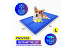COSTCOM Large Size Dog Cooling Mat Instant Relief Non Toxic 60Cm X 90Cm