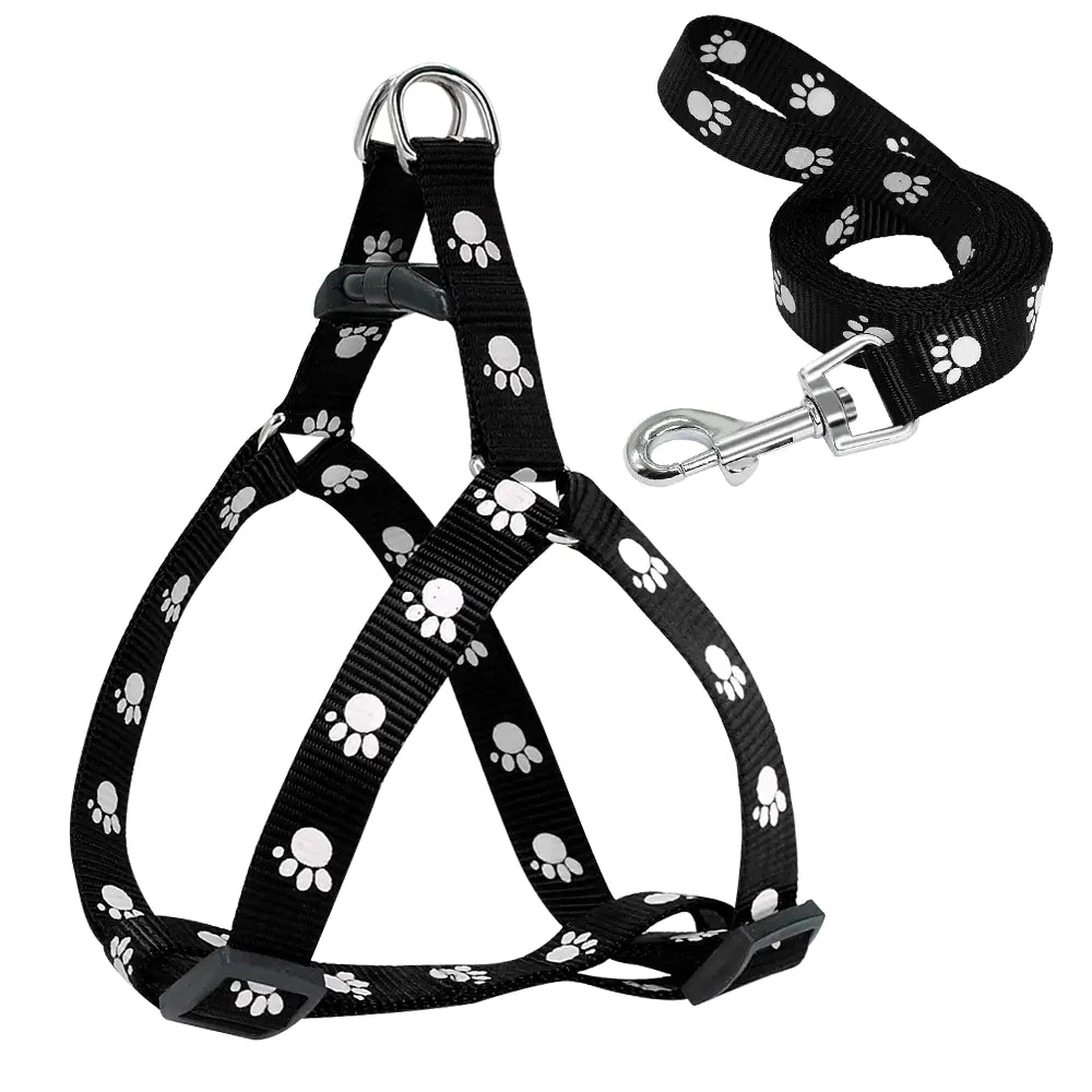 Trendy Paw Print Leash Set