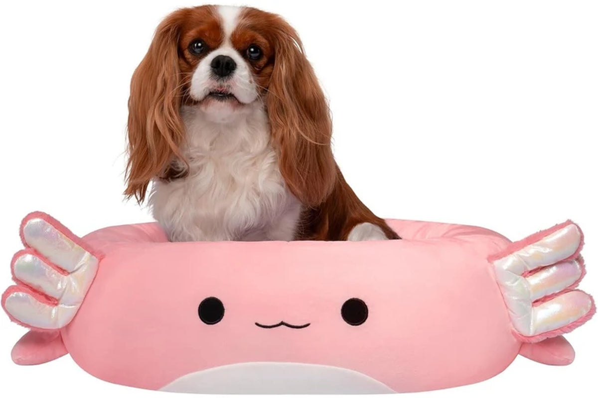 : Archie the Axolotl Pet Bed - 24" Med