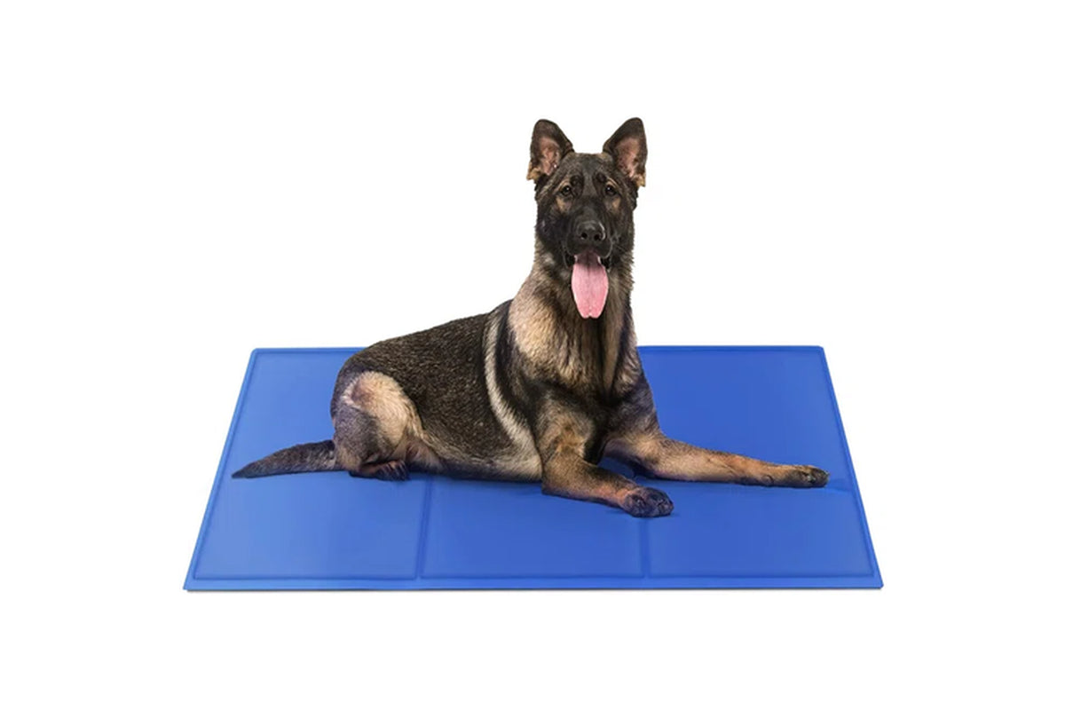 COSTCOM Large Size Dog Cooling Mat Instant Relief Non Toxic 60Cm X 90Cm