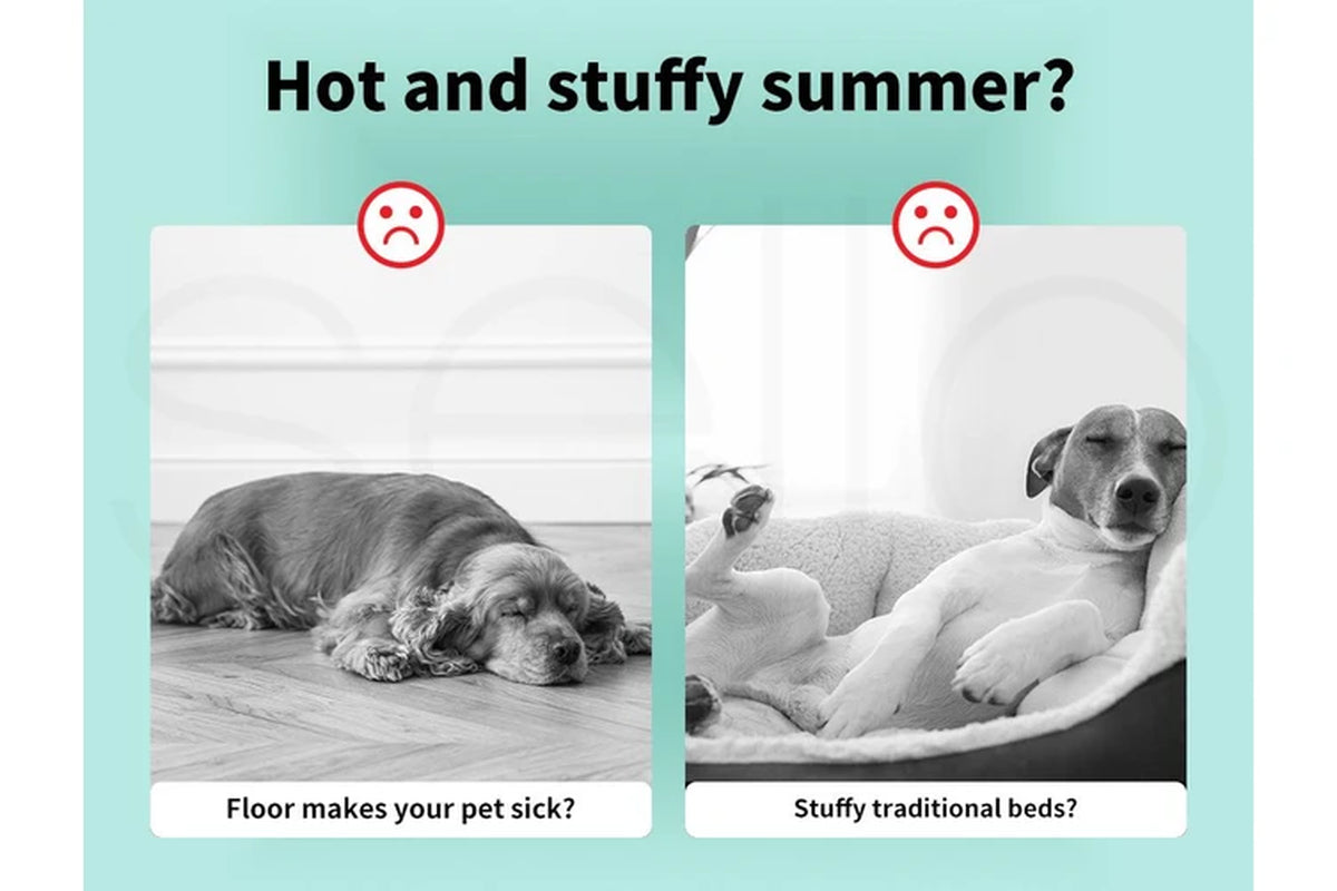 Pet Bed Cooling Mat Dog Bed Small Green