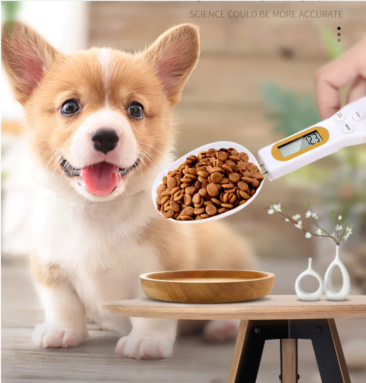 Precision Pet Feeding Spoon