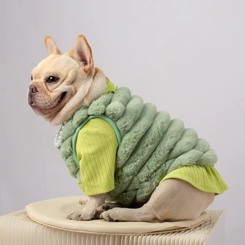 Seasonal Canine Coat