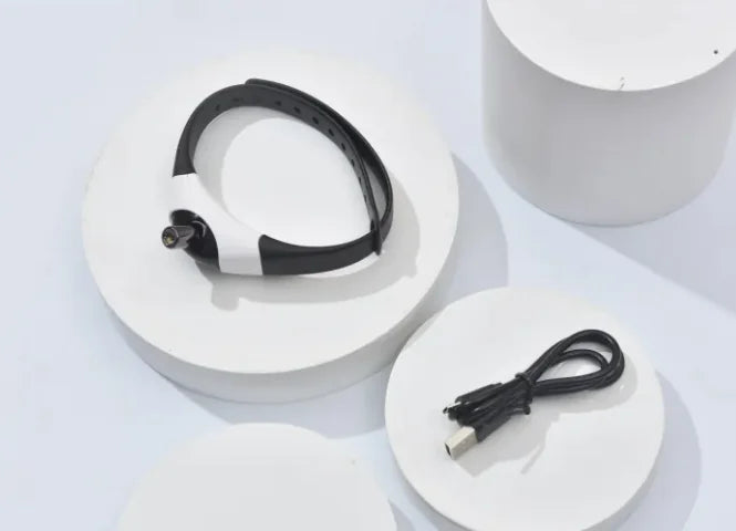 TheAussiePaw LED Interactive Pet Collar