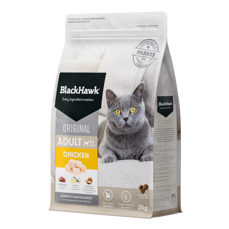 Black Hawk Adult Cat Chicken