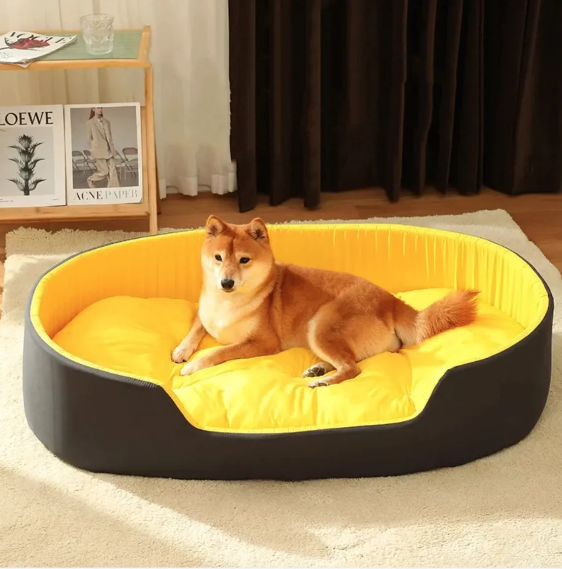 Comfy Pet Nest Bed & Mat