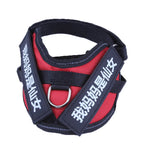 TheAussiePaw Dog Harness