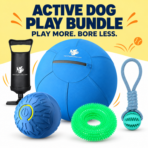 Active Dog Play Bundle