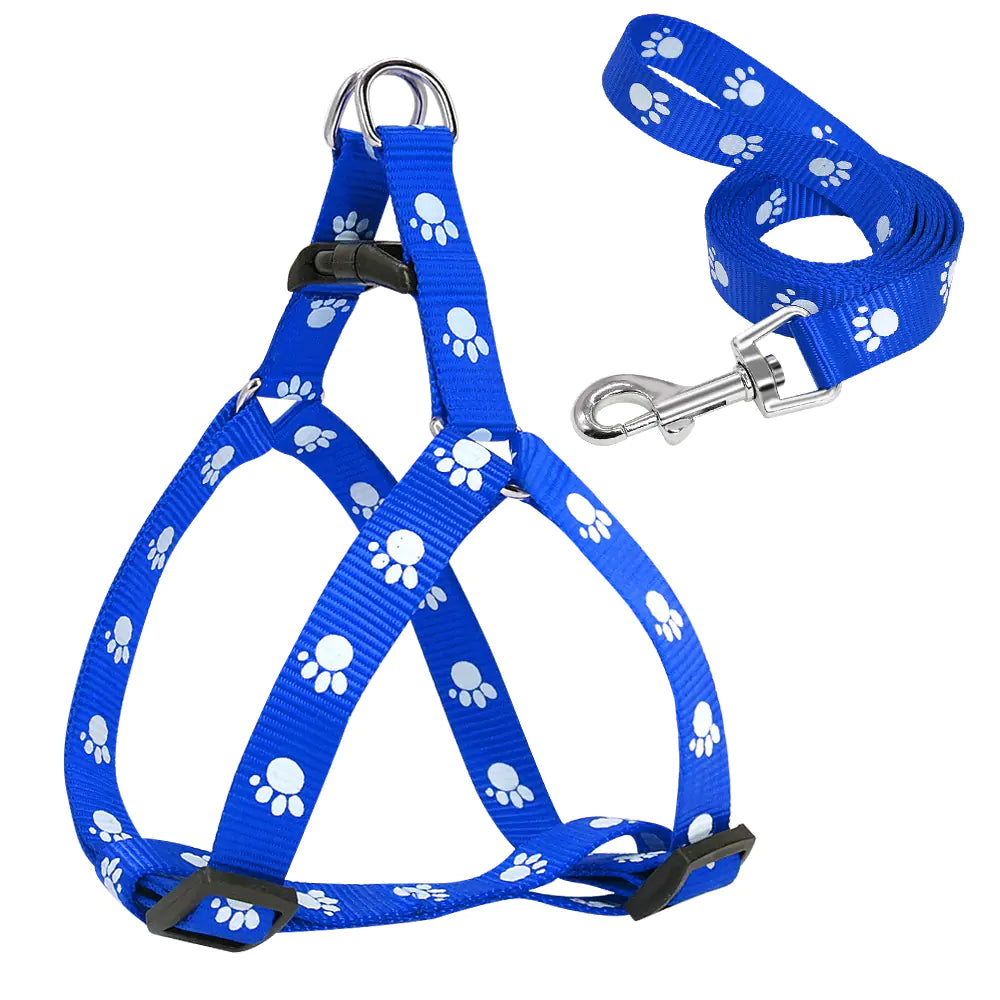 Trendy Paw Print Leash Set