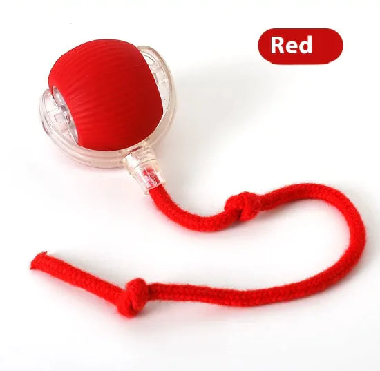 Chirping Teaser Ball for Cats