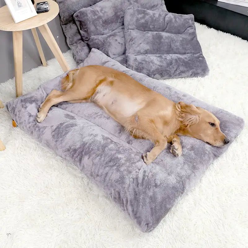 Cozy Plush Canine Bed with Quilted Base