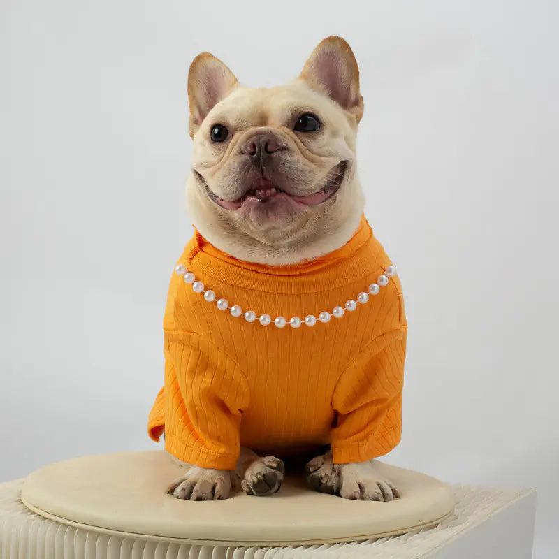 Seasonal Canine Coat