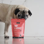 PetzPark Hip Joint For Dogs