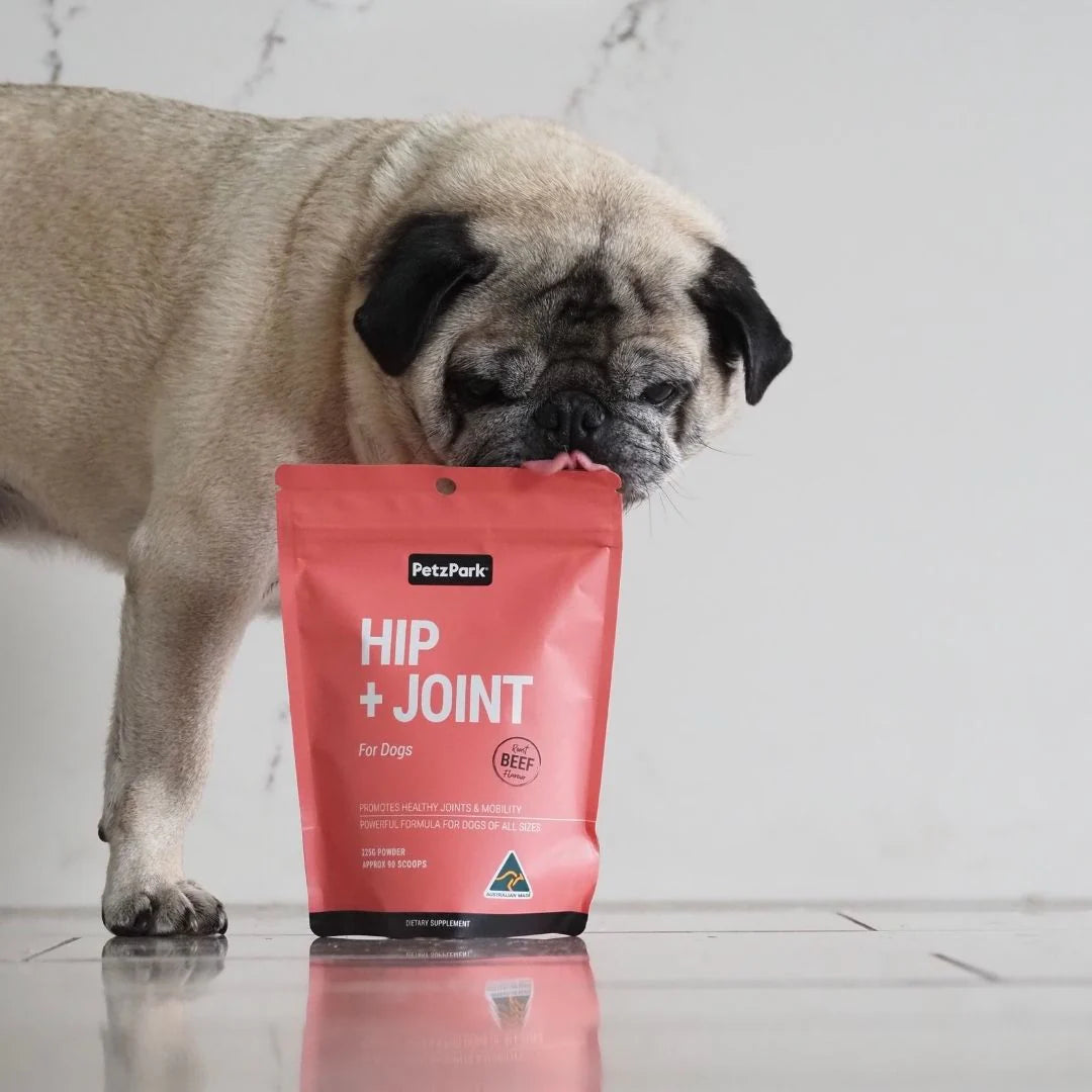 PetzPark Hip Joint For Dogs