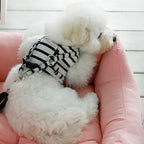 TheAussiePaw Dog Car Bed Pad