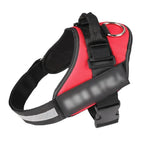 TheAussiePaw Dog Harness