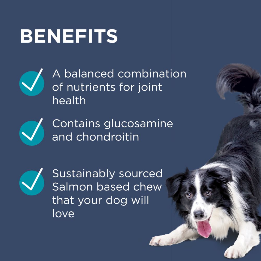 Paw  OsteoCare Joint Protect
