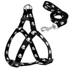 TheAussiePaw Trendy Print Leash Set