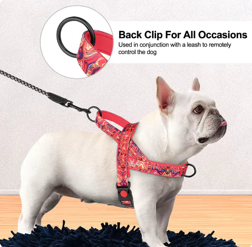 ComfortFlex Nylon Dog Harness