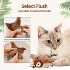 TheAussiePaw Interactive Cat Toys