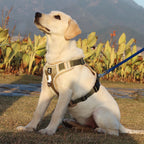 TheAussiePaw Reflective Safety Dog Harness