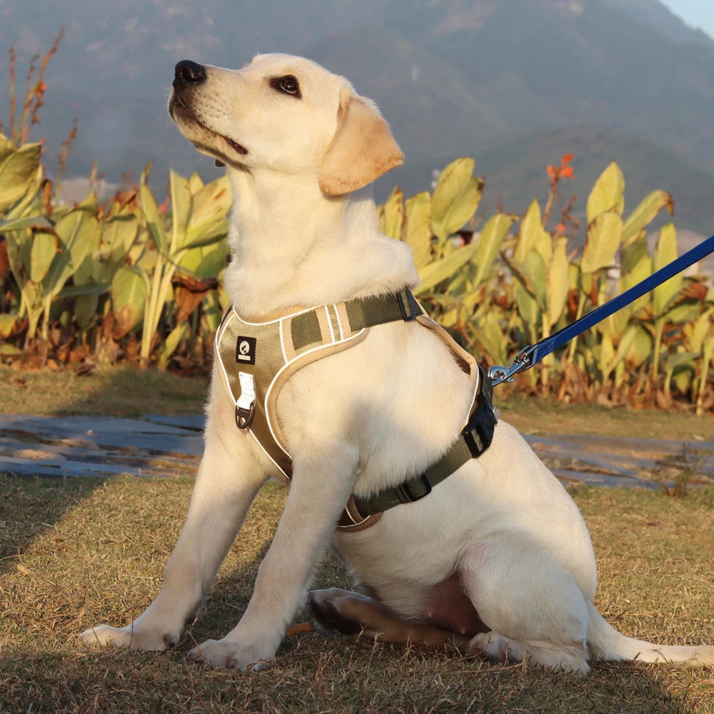 Reflective Safety Dog Harness