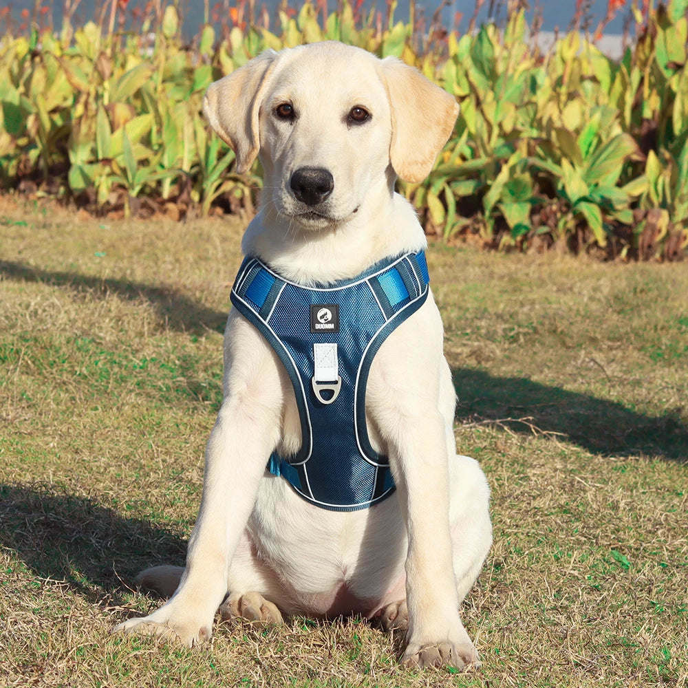 Reflective Safety Dog Harness