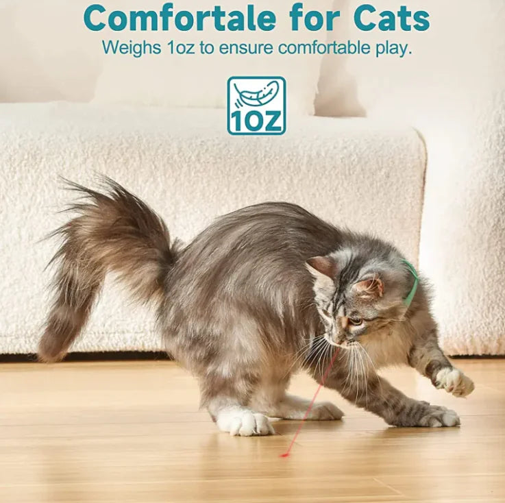 TheAussiePaw LED Interactive Pet Collar