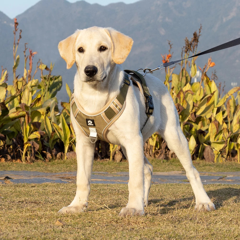 Reflective Safety Dog Harness