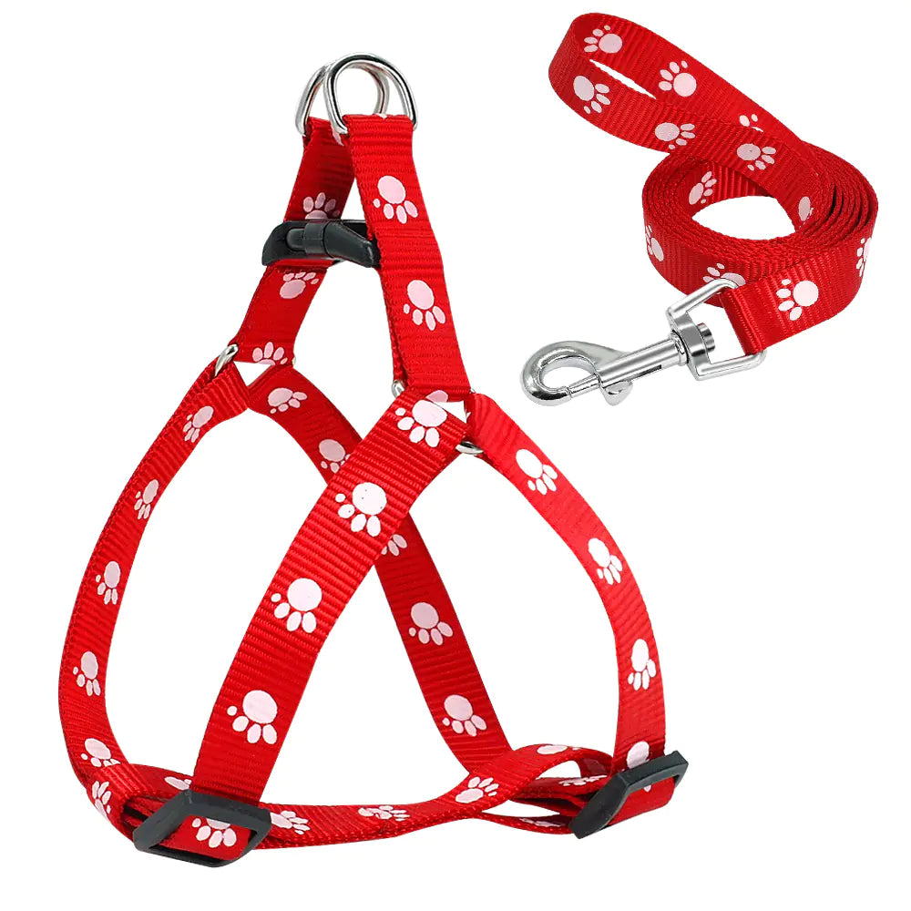 Trendy Paw Print Leash Set