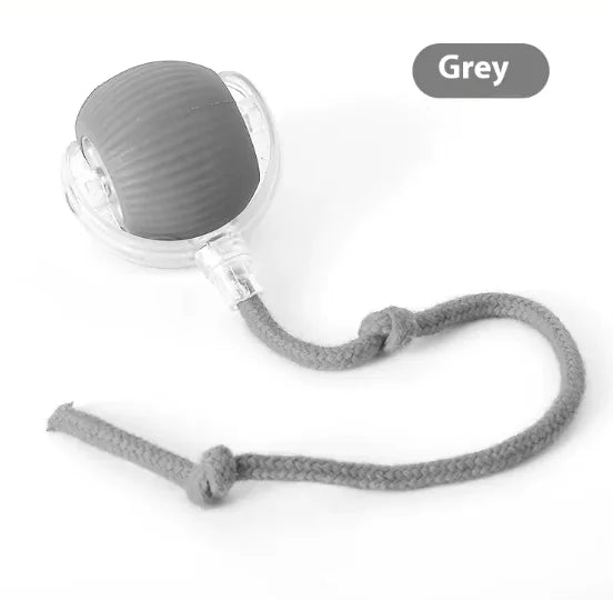 Chirping Teaser Ball for Cats