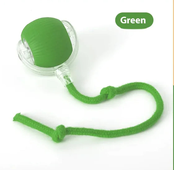 Chirping Teaser Ball for Cats