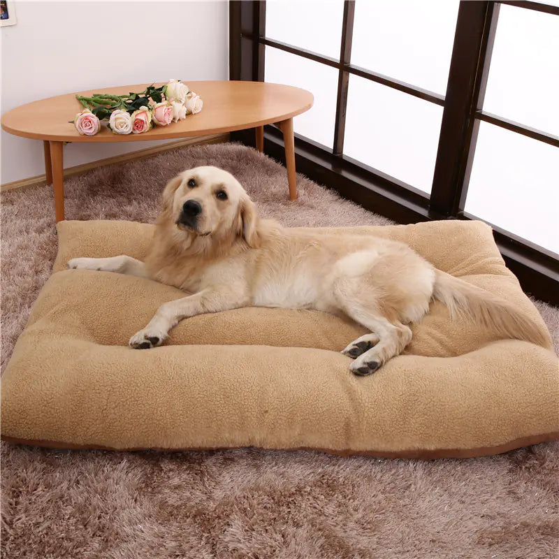 Comfy Thick Golden Retriever Dog Bed