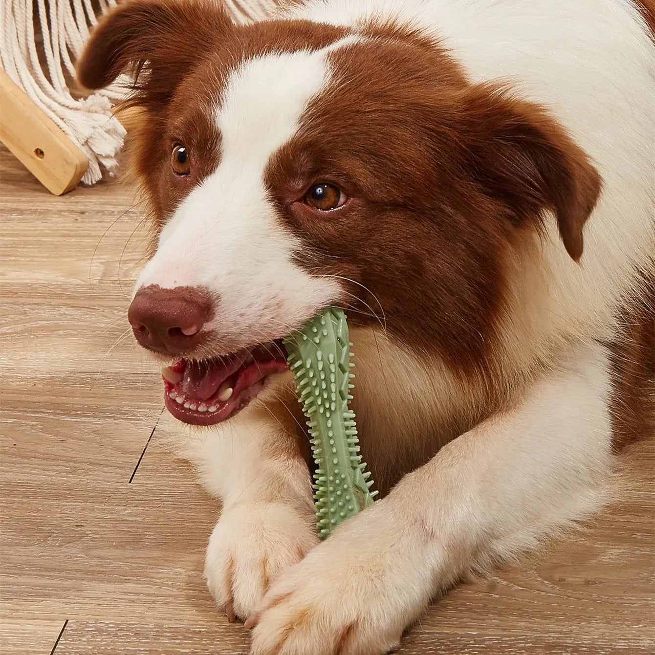 Puppy Dental Chew Toy for Clean Teeth