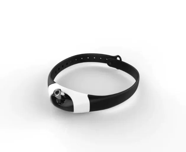 TheAussiePaw LED Interactive Pet Collar