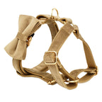 TheAussiePaw Velvet Dog Collar