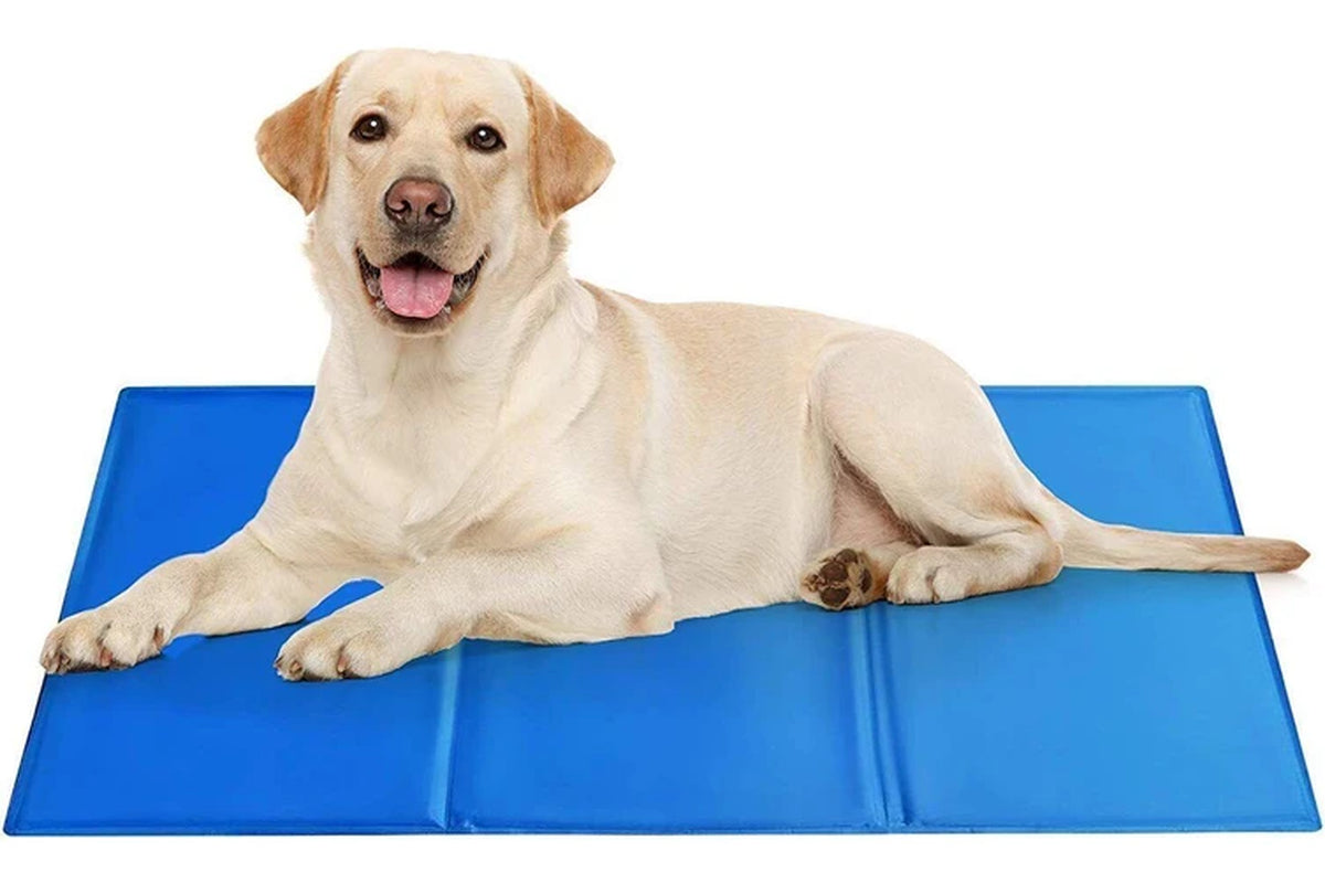 COSTCOM Large Size Dog Cooling Mat Instant Relief Non Toxic 60Cm X 90Cm