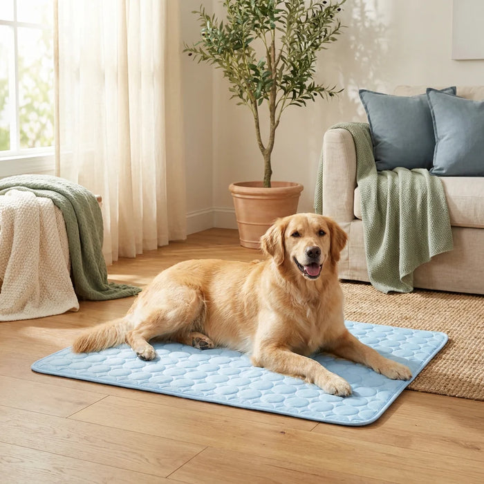 On the tile floor