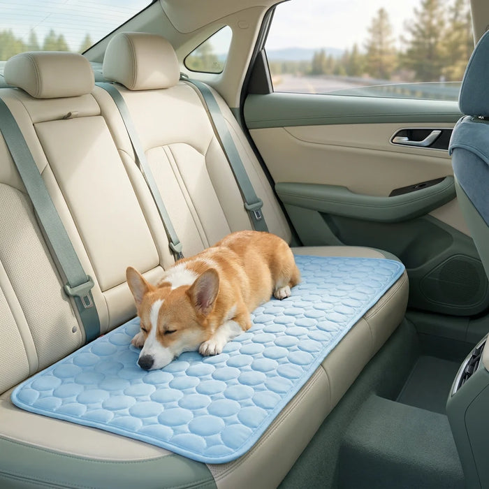 On the car seat